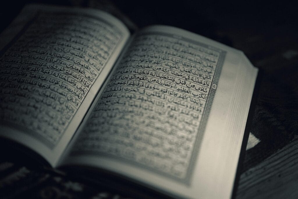 The Quran as Your Companion on the Journey